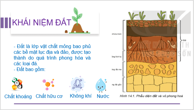 Giáo án điện tử Địa Lí 10 Kết nối tri thức Bài 14: Đất trên Trái Đất | PPT Địa 10