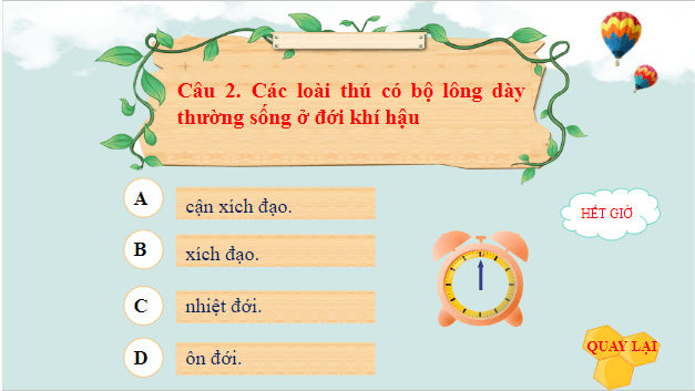 Giáo án điện tử Địa Lí 10 Chân trời sáng tạo Bài 15: Sinh quyển, các nhân tố ảnh hưởng đến sự phát triển và phân bố của sinh vật | PPT Địa 10