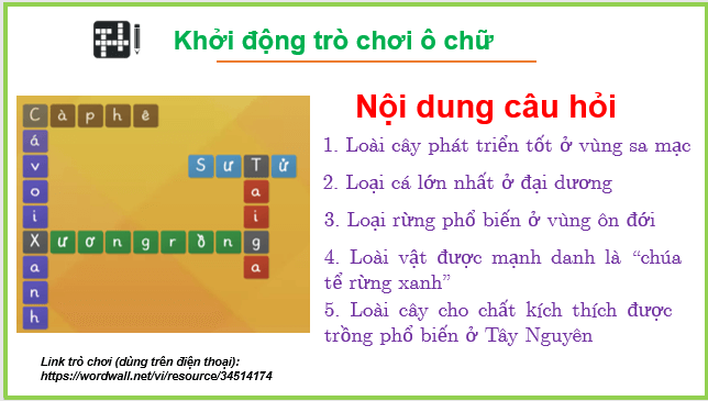 Giáo án điện tử Địa Lí 10 Kết nối tri thức Bài 15: Sinh quyển | PPT Địa 10