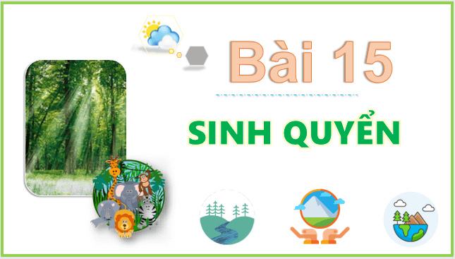 Giáo án điện tử Địa Lí 10 Kết nối tri thức Bài 15: Sinh quyển | PPT Địa 10