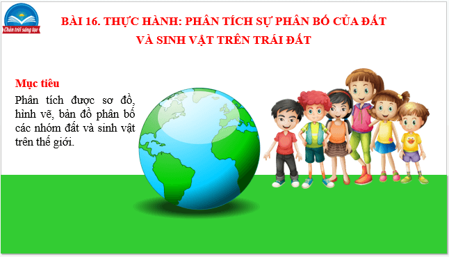 Giáo án điện tử Địa Lí 10 Chân trời sáng tạo Bài 16: Thực hành phân tích sự phân bố của đất và sinh vật trên Trái Đất | PPT Địa 10