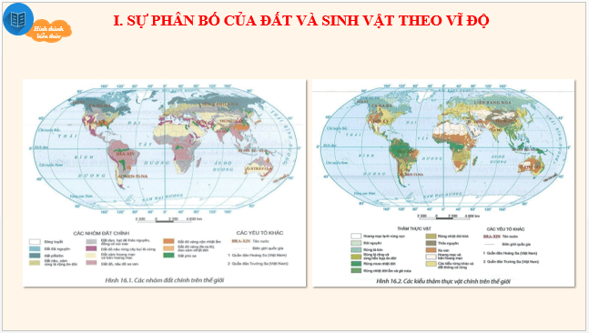 Giáo án điện tử Địa Lí 10 Chân trời sáng tạo Bài 16: Thực hành phân tích sự phân bố của đất và sinh vật trên Trái Đất | PPT Địa 10