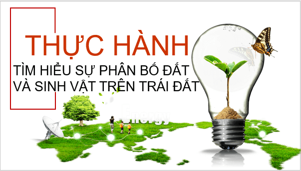 Giáo án điện tử Địa Lí 10 Kết nối tri thức Bài 16: Thực hành: Tìm hiểu sự phân bố đất và sinh vật trên Trái Đất | PPT Địa 10