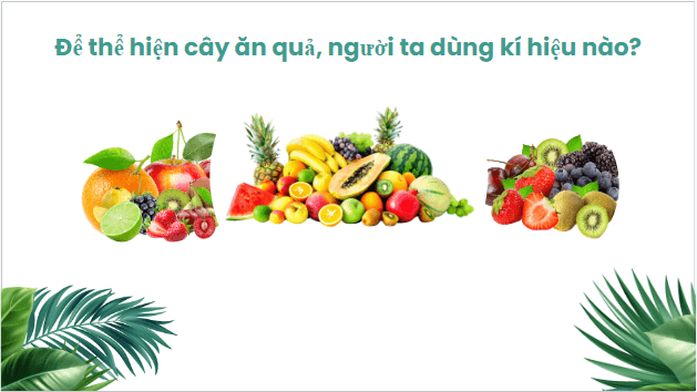 Giáo án điện tử Địa Lí 10 Kết nối tri thức Bài 2: Phương pháp biểu hiện các đối tượng địa lí trên bản đồ | PPT Địa 10