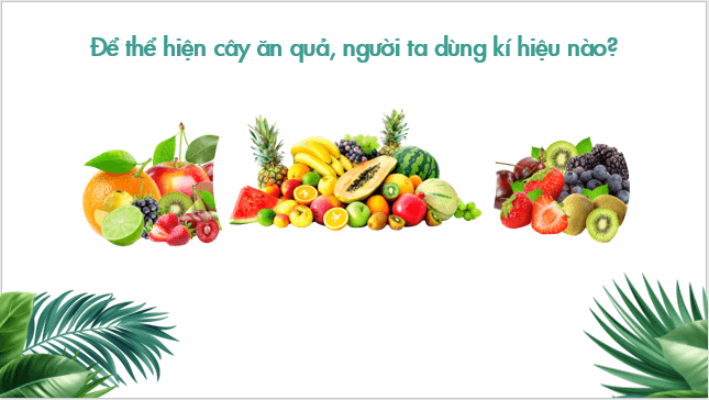 Giáo án điện tử Địa Lí 10 Cánh diều Bài 2: Sử dụng bản đồ | PPT Địa 10