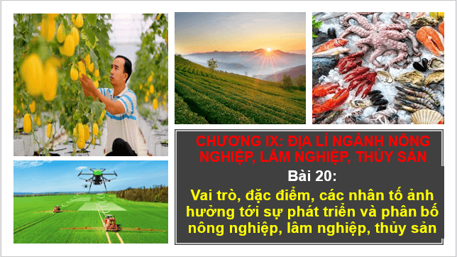 Giáo án điện tử Địa Lí 10 Cánh diều Bài 20: Vai trò, đặc điểm, các nhân tố ảnh hưởng đến sự phát triển và phân bố nông nghiệp, lâm nghiệp, thuỷ sản | PPT Địa 10