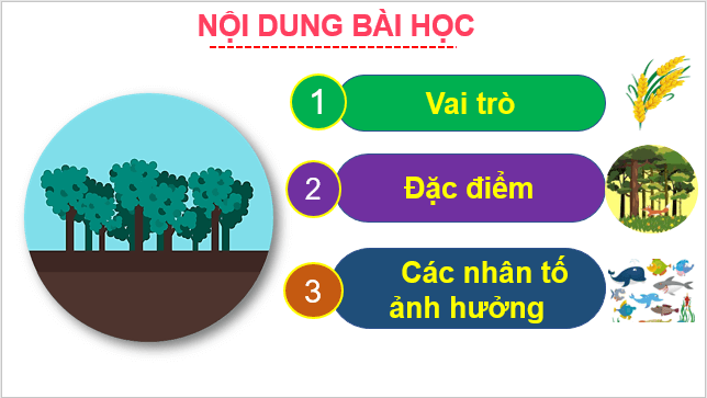 Giáo án điện tử Địa Lí 10 Cánh diều Bài 20: Vai trò, đặc điểm, các nhân tố ảnh hưởng đến sự phát triển và phân bố nông nghiệp, lâm nghiệp, thuỷ sản | PPT Địa 10