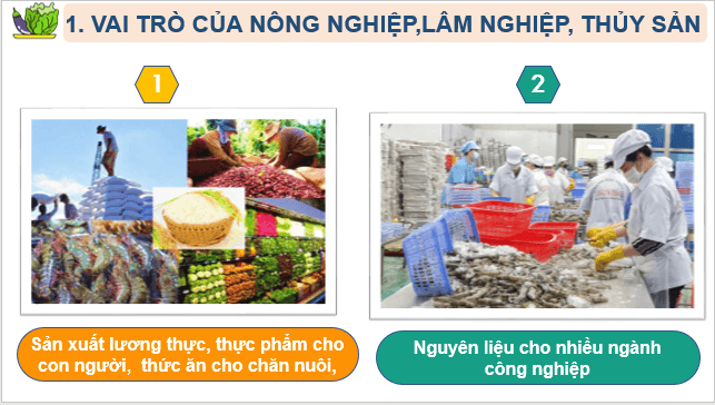 Giáo án điện tử Địa Lí 10 Cánh diều Bài 20: Vai trò, đặc điểm, các nhân tố ảnh hưởng đến sự phát triển và phân bố nông nghiệp, lâm nghiệp, thuỷ sản | PPT Địa 10