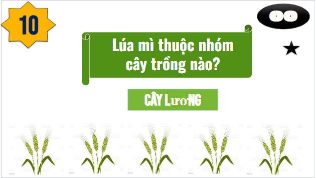 Giáo án điện tử Địa Lí 10 Cánh diều Bài 22: Tổ chức lãnh thổ nông nghiệp | PPT Địa 10