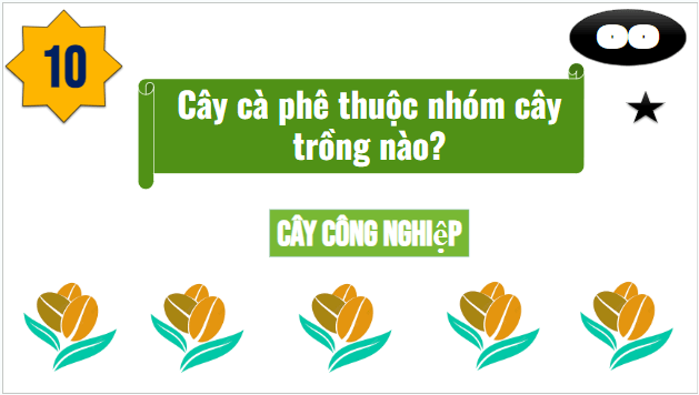 Giáo án điện tử Địa Lí 10 Cánh diều Bài 22: Tổ chức lãnh thổ nông nghiệp | PPT Địa 10