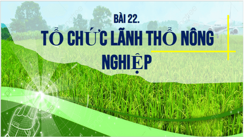 Giáo án điện tử Địa Lí 10 Cánh diều Bài 22: Tổ chức lãnh thổ nông nghiệp | PPT Địa 10