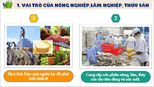 Giáo án điện tử Địa Lí 10 Kết nối tri thức Bài 23: Vai trò, đặc điểm, các nhân tố ảnh hưởng tới phát triển và phân bố nông nghiệp, lâm nghiệp, thủy sản | PPT Địa 10