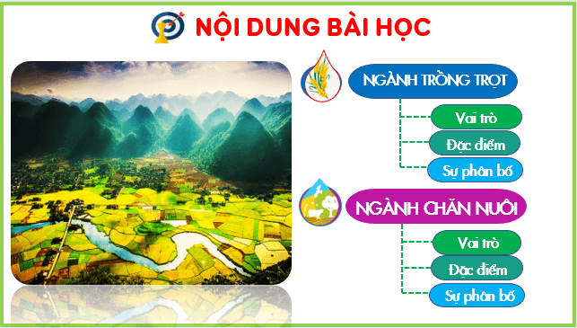 Giáo án điện tử Địa Lí 10 Kết nối tri thức Bài 24: Địa Lí ngành nông nghiệp | PPT Địa 10