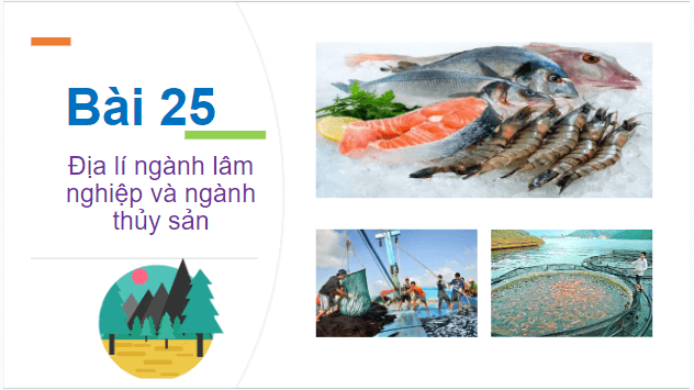 Giáo án điện tử Địa Lí 10 Kết nối tri thức Bài 25: Địa Lí ngành lâm nghiệp và ngành thủy sản | PPT Địa 10