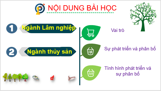 Giáo án điện tử Địa Lí 10 Kết nối tri thức Bài 25: Địa Lí ngành lâm nghiệp và ngành thủy sản | PPT Địa 10