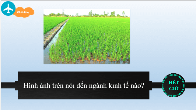 Giáo án điện tử Địa Lí 10 Chân trời sáng tạo Bài 25: Vai trò, đặc điểm, các nhân tố ảnh hưởng tới sự phát triển và phân bố nông nghiệp, lâm nghiệp, thủy sản | PPT Địa 10