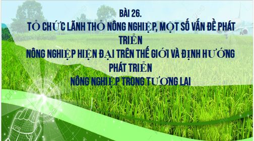 Giáo án điện tử Địa Lí 10 Kết nối tri thức Bài 26: Tổ chức lãnh thổ nông nghiệp, một số vấn đề phát triển nông nghiệp hiện đại trên thế giới và định hướng phát triển nông nghiệp trong tương lai | PPT Địa 10