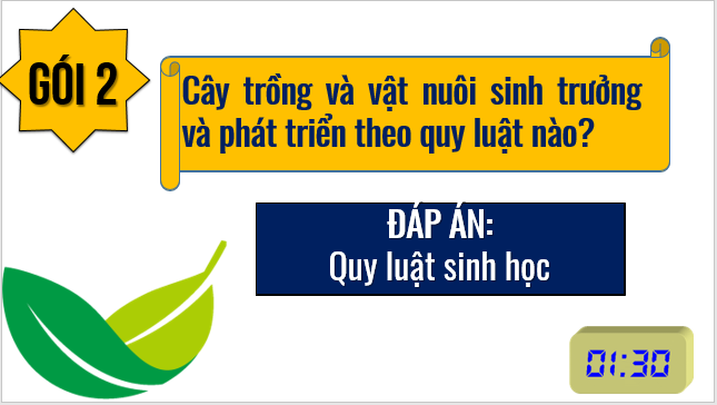 Giáo án điện tử Địa Lí 10 Kết nối tri thức Bài 27: Thực hành: Vẽ và nhận xét biểu đồ về sản lượng lương thực của thế giới | PPT Địa 10