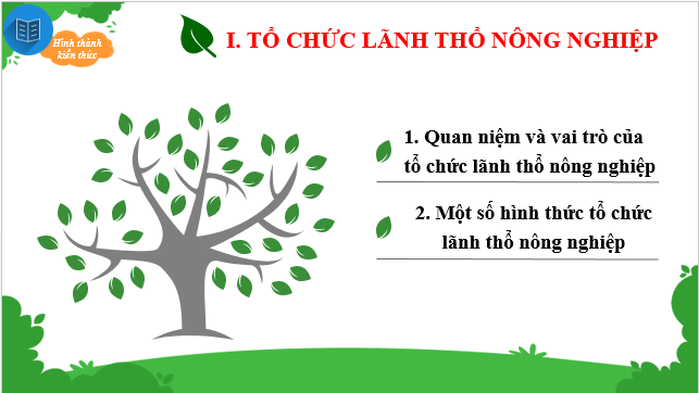 Giáo án điện tử Địa Lí 10 Chân trời sáng tạo Bài 27: Tổ chức lãnh thổ nông nghiệp, vấn đề và định hướng phát triển nông nghiệp | PPT Địa 10