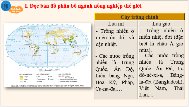 Giáo án điện tử Địa Lí 10 Chân trời sáng tạo Bài 28: Thực hành tìm hiểu sự phát triển và phân bố ngành nông nghiệp, lâm nghiệp, thủy sản | PPT Địa 10