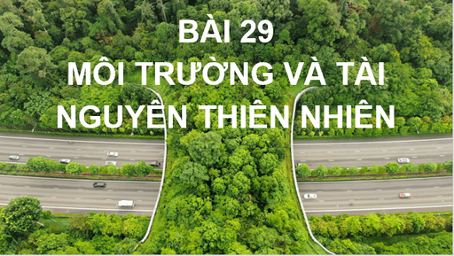 Giáo án điện tử Địa Lí 10 Cánh diều Bài 29: Môi trường và tài nguyên thiên nhiên | PPT Địa 10