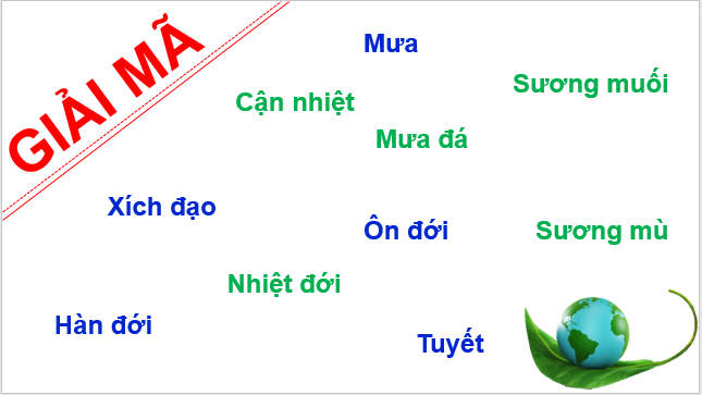 Giáo án điện tử Địa Lí 10 Cánh diều Bài 9: Thực hành: Đọc bản đồ các đới khí hậu trên Trái Đất. Phân tích biểu đồ một số kiểu khí hậu | PPT Địa 10