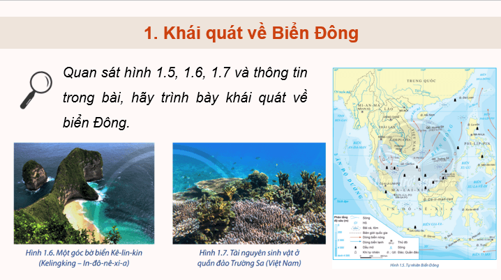 Giáo án điện tử Chuyên đề Địa 11 Chân trời sáng tạo Hợp tác hoà bình trong khai thác Biển Đông | PPT Chuyên đề Địa Lí 11