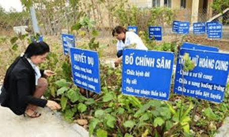 Giáo án Địa Lí 12 Kết nối tri thức Bài 11: Vấn đề phát triển ngành nông nghiệp