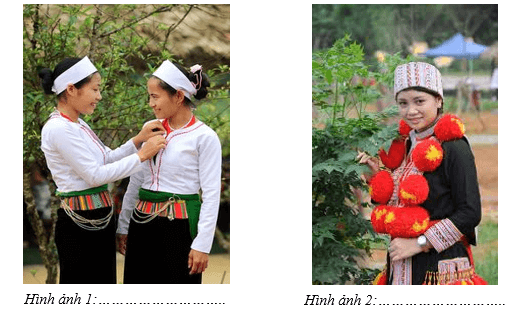 Giáo án Địa Lí 12 Kết nối tri thức Bài 23: Khai thác thế mạnh ở Trung du và miền núi Bắc Bộ