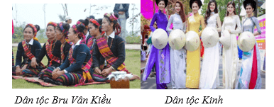 Giáo án Địa Lí 12 Kết nối tri thức Bài 25: Phát triển nông nghiệp, lâm nghiệp và thuỷ sản ở Bắc Trung Bộ