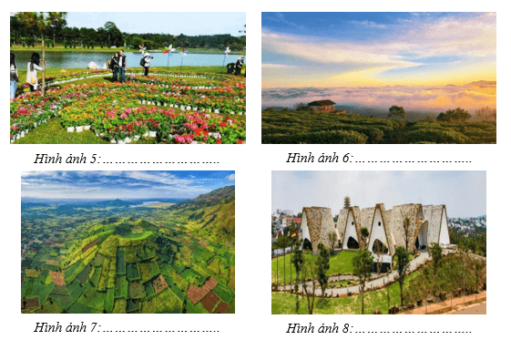 Giáo án Địa Lí 12 Kết nối tri thức Bài 28: Khai thác thế mạnh để phát triển kinh tế ở Tây Nguyên