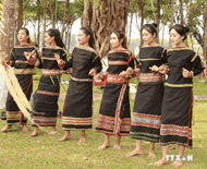 Giáo án Địa Lí 12 Chân trời sáng tạo Bài 30: Khai thác thế mạnh để phát triển kinh tế ở Tây Nguyên
