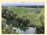 Giáo án Địa Lí 12 Kết nối tri thức Bài 31: Thực hành: Viết báo cáo về biến đổi khí hậu ở Đồng bằng sông Cửu Long