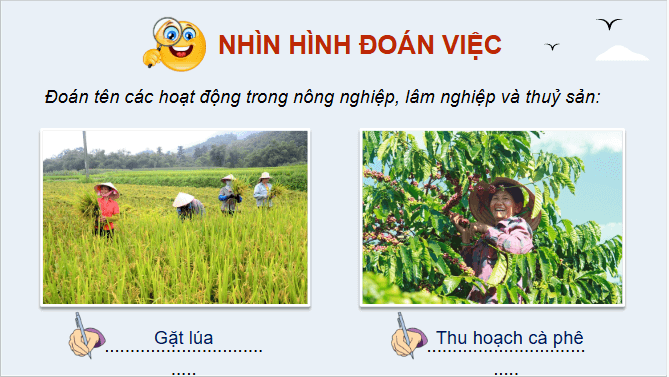 Giáo án điện tử Địa Lí 12 Chân trời sáng tạo Bài 12: Vấn đề phát triển nông nghiệp | PPT Địa 12
