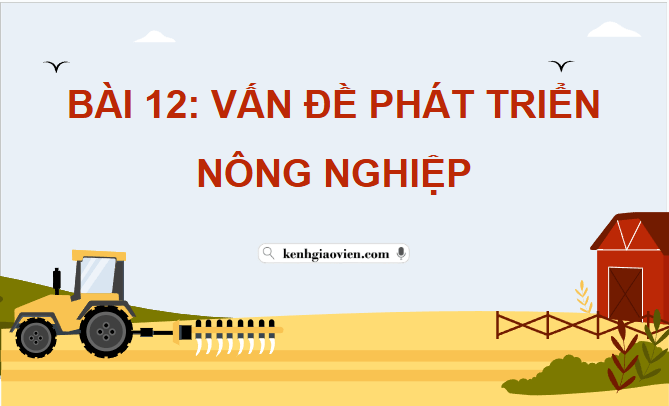 Giáo án điện tử Địa Lí 12 Chân trời sáng tạo Bài 12: Vấn đề phát triển nông nghiệp | PPT Địa 12