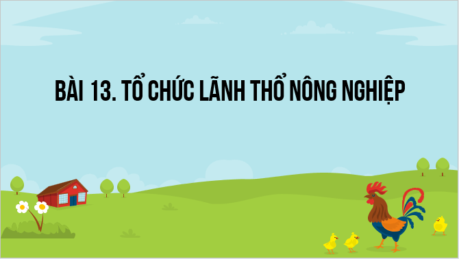 Giáo án điện tử Địa Lí 12 Kết nối tri thức Bài 13: Tổ chức lãnh thổ nông nghiệp | PPT Địa 12
