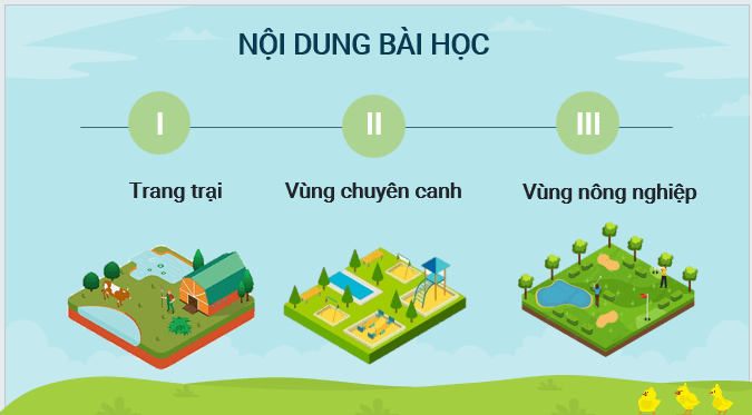 Giáo án điện tử Địa Lí 12 Kết nối tri thức Bài 13: Tổ chức lãnh thổ nông nghiệp | PPT Địa 12