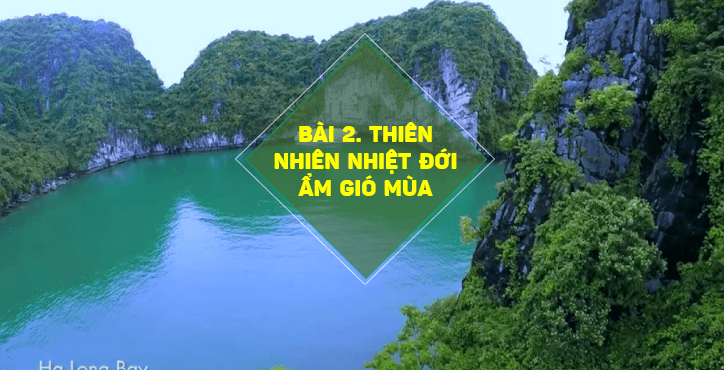 Giáo án điện tử Địa Lí 12 Kết nối tri thức Bài 2: Thiên nhiên nhiệt đới ẩm gió mùa | PPT Địa 12