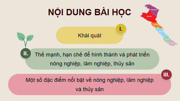 Giáo án điện tử Địa Lí 12 Cánh diều Bài 21: Phát triển nông nghiệp, lâm nghiệp và thuỷ sản ở Bắc Trung Bộ | PPT Địa 12