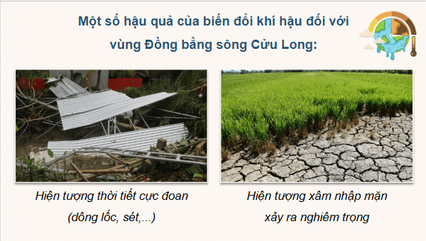 Giáo án điện tử Địa Lí 12 Cánh diều Bài 26: Thực hành: Tìm hiểu ảnh hưởng của biến đổi khí hậu đối với Đồng bằng sông Cửu Long và các giải pháp ứng phó | PPT Địa 12