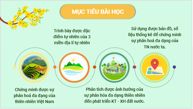 Giáo án điện tử Địa Lí 12 Cánh diều Bài 3: Sự phân hoá đa dạng của thiên nhiên | PPT Địa 12