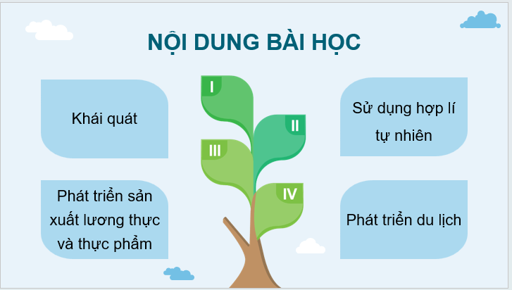 Giáo án điện tử Địa Lí 12 Kết nối tri thức Bài 30: Sử dụng hợp lí tự nhiên để phát triển kinh tế ở Đồng bằng sông Cửu Long | PPT Địa 12
