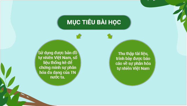 Giáo án điện tử Địa Lí 12 Cánh diều Bài 4: Thực hành: Trình bày báo cáo về sự phân hoá tự nhiên Việt Nam | PPT Địa 12