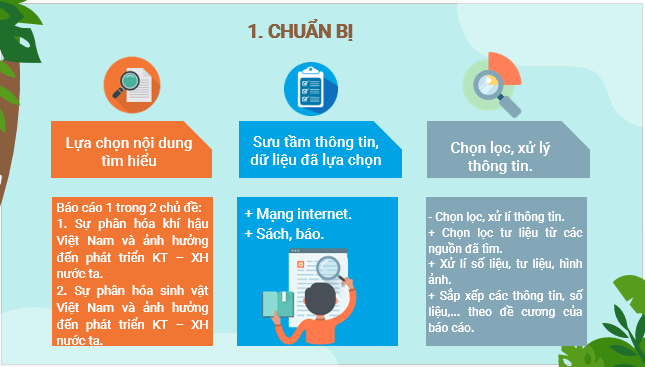 Giáo án điện tử Địa Lí 12 Cánh diều Bài 4: Thực hành: Trình bày báo cáo về sự phân hoá tự nhiên Việt Nam | PPT Địa 12