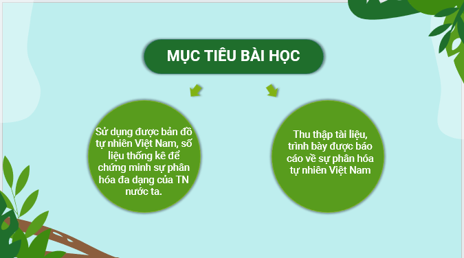 Giáo án điện tử Địa Lí 12 Kết nối tri thức Bài 4: Thực hành: Viết báo cáo về sự phân hóa tự nhiên Việt Nam | PPT Địa 12