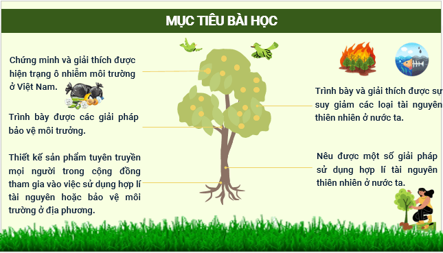 Giáo án điện tử Địa Lí 12 Cánh diều Bài 5: Vấn đề sử dụng hợp lí tài nguyên thiên nhiên và bảo vệ môi trường | PPT Địa 12