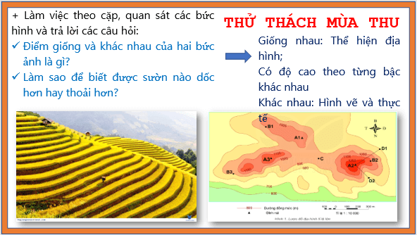 Giáo án điện tử Địa Lí 6 Kết nối tri thức Bài 14: Thực hành: Đọc lược đồ địa hình tỉ lệ lớn và lát cắt địa hình đơn giản | PPT Địa Lí 6