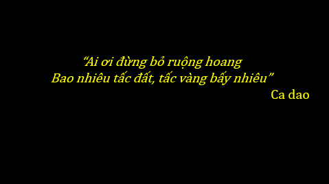 Giáo án điện tử Địa Lí 6 Chân trời sáng tạo Bài 19: Lớp đất và các nhân tố hình thành đất. Một số nhóm đất điển hình | PPT Địa Lí 6