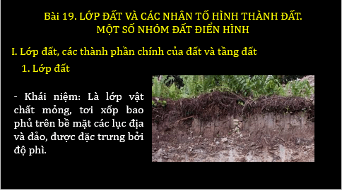 Giáo án điện tử Địa Lí 6 Chân trời sáng tạo Bài 19: Lớp đất và các nhân tố hình thành đất. Một số nhóm đất điển hình | PPT Địa Lí 6