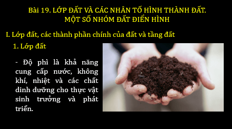 Giáo án điện tử Địa Lí 6 Chân trời sáng tạo Bài 19: Lớp đất và các nhân tố hình thành đất. Một số nhóm đất điển hình | PPT Địa Lí 6